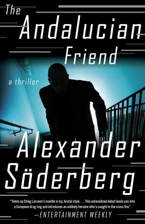 Cover of the book The Andalucian Friend by Grimlock Press
