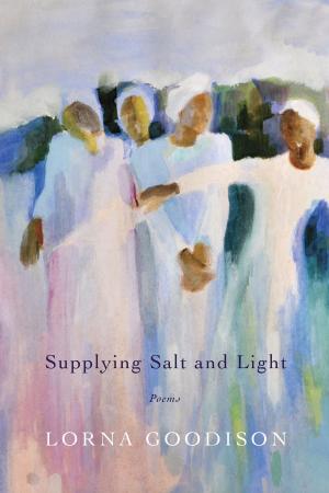 bigCover of the book Supplying Salt and Light by 