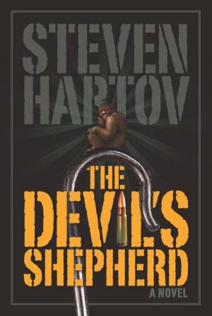 Cover of the book The Devil's Shepherd by Paul Fleischman