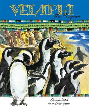 Cover of the book Velaphi the penguin by Fanie Viljoen