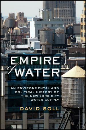 Cover of the book Empire of Water by Kellee S. Tsai