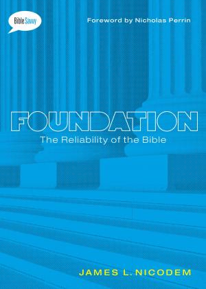 Cover of the book Foundation by Richard A. Burr