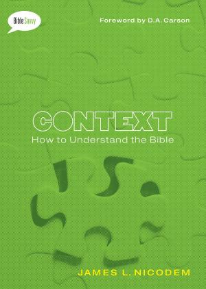 Cover of the book Context by Kenneth N. Taylor