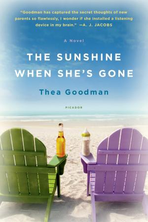 Cover of the book The Sunshine When She's Gone by Emily Padraic