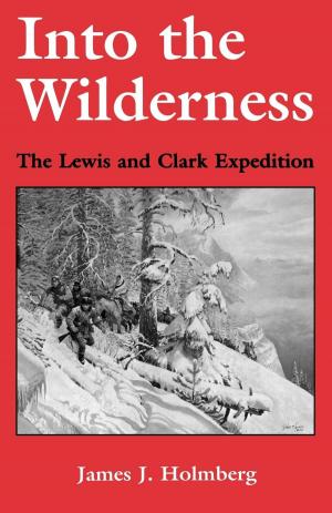 Cover of the book Into the Wilderness by Harper Cossar