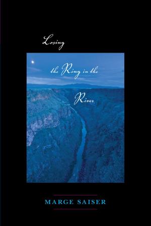 Cover of the book Losing the Ring in the River by Ethne Barnes