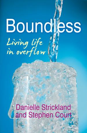 Cover of the book Boundless by Martyn Whittock, Hannah Whittock