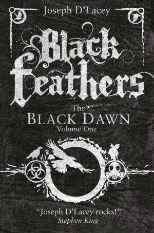 Cover of the book Black Feathers by Andrew Phillip Smith