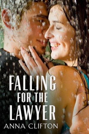 Book cover of Falling For The Lawyer