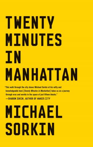 Cover of the book Twenty Minutes in Manhattan by Edward Snow