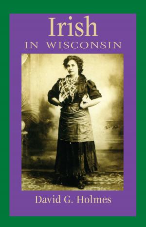 Cover of the book Irish in Wisconsin by Geri Schrab, Robert F. Boszhardt