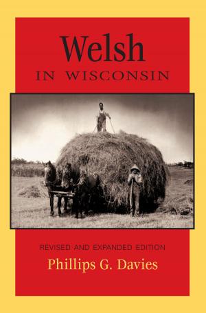 Cover of the book Welsh in Wisconsin by William Povletich