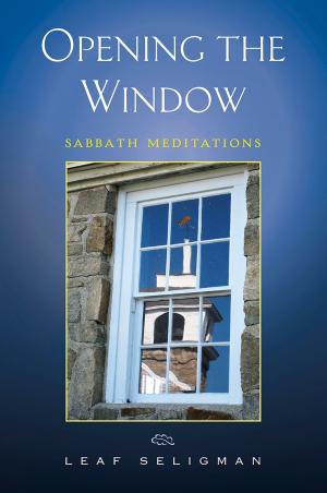 Cover of Opening the Window