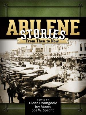 Book cover of Abilene Stories
