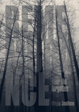 Cover of the book Remembrance by Chip Hughes