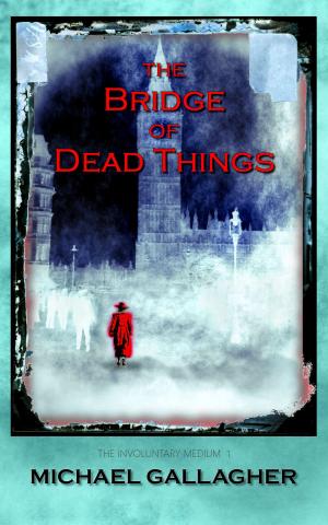 Cover of the book The Bridge of Dead Things by Robert S. Levinson