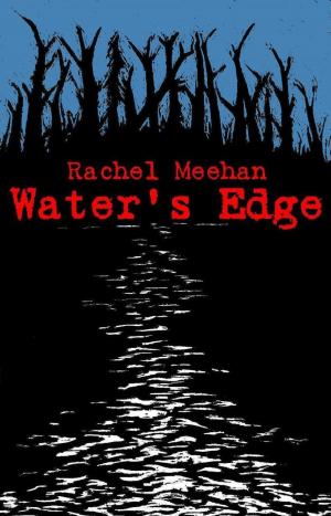 Book cover of Water's Edge