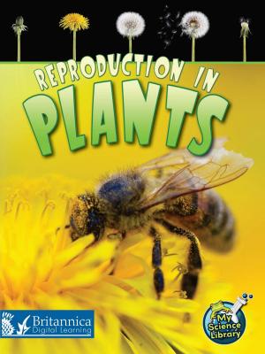 Cover of the book Reproduction in Plants by Susan Meredith