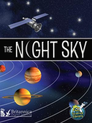 Cover of the book The Night Sky by Conrad J. Storad