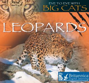 Cover of the book Leopards by Tom Greve