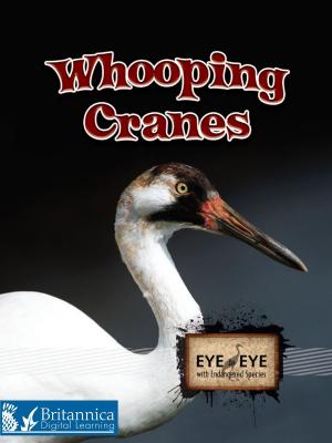 Cover of the book Whooping Cranes by Anita Ganeri