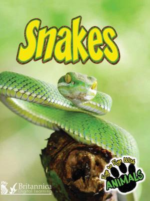 Cover of the book Snakes by Dr. Jean Feldman and Dr. Holly Karapetkova