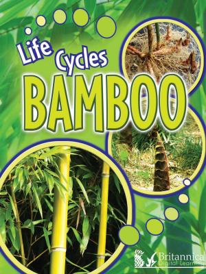 Cover of the book Bamboo by M.C. Hall