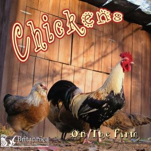 Cover of the book Chickens on the Farm by Lynn M. Stone