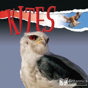 Cover of the book Kites by Luana Mitten and Meg Greve
