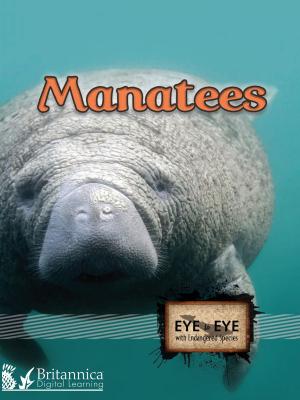 Cover of the book Manatees by Maureen Picard Robins