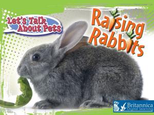 Book cover of Raising Rabbits
