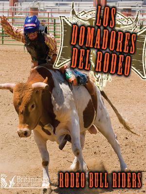 Cover of the book Los Domadores del Rodeo (Rodeo Bull Riders) by Lynn Stone