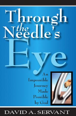 Cover of Through The Needles Eye