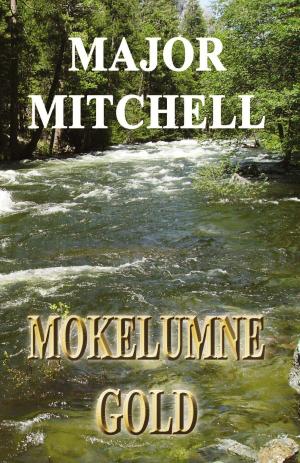 Cover of the book Mokelumne Gold by Jeffrey Strobel
