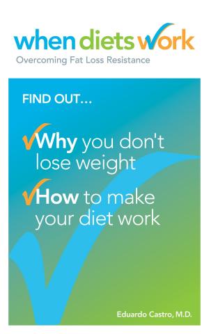 bigCover of the book When Diets Work by 