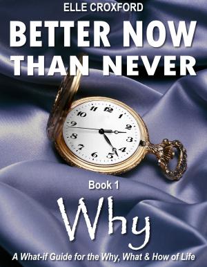 Cover of the book Better Now Than Never: Book 1 Why by Jamie Logie