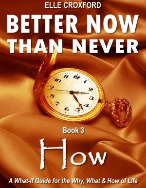 Cover of the book Better Now Than Never: Book 3 How by Regina E. Wilson