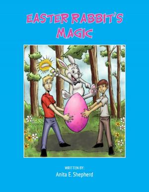 Book cover of Easter Rabbit's Magic