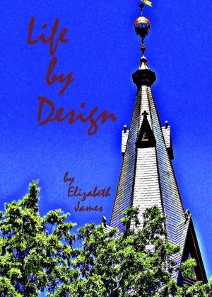 bigCover of the book Life by Design by 