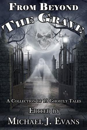 Cover of the book From Beyond the Grave by Joe McKinney, Michael McCarty