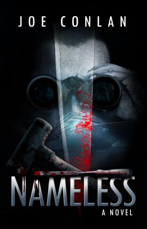 Cover of the book Nameless by RK Wheeler