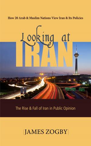 Cover of the book Looking at Iran by Richard Pye