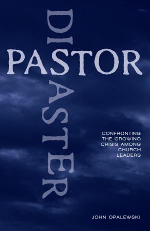 Cover of the book Pastor Disaster by Angela Kaelin