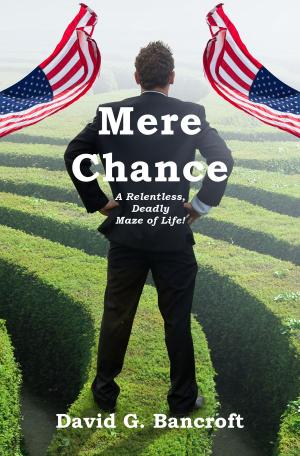 Book cover of Mere Chance