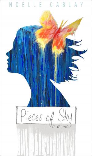 Book cover of Pieces of Sky: a memoir