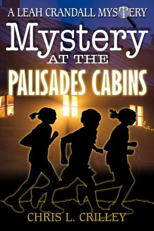 Cover of the book Mystery at the Palisades Cabins by Paul Frith