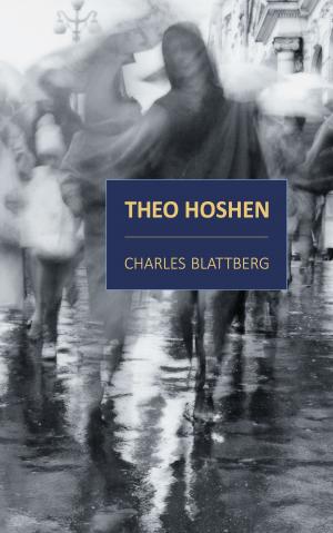 Cover of the book The Adventurous Young Philosopher Theo Hoshen of Toronto by Paul Allen