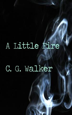 bigCover of the book A Little Fire by 