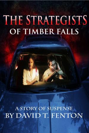 bigCover of the book The Strategists of Timber Falls by 