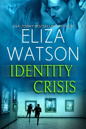 Cover of the book Identity Crisis by C.S Luis